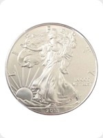 2013
Silver
US Eagle Silver Bullion
