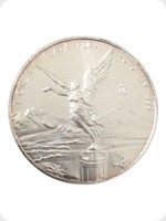2010
Silver
Mexican Libertad Silver Bullion
