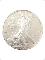 2009
Silver
US Eagle Silver Bullion
