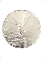 2009
Silver
Mexican Libertad Silver Bullion
