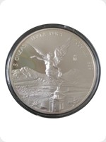 2009
Silver
Mexican Libertad Silver Proof - 5 Ounce

