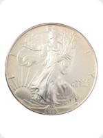 1993
Silver
US Eagle Silver Bullion
