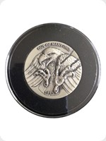 2015
Silver
Heidi Wastweet - Bald Eagl
