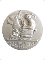 2015
Bronze
eDF Electricite De France - 30 Years Service
