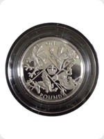 2016
Silver
Last Round Pound &pound;1 Silver Proof
