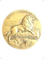 1917
Bronze
Wounded But Not Defeated WWI Medal
