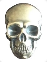 2016
Silver
Skull No. 1 Coin
