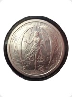 2016
Silver
Temptations Of The Succubus

