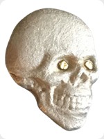 2017
Silver
Silver Skull
