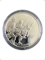 2009
Silver
Battle Of The Somme 1916
