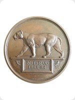 1886
Bronze
Army Rifle Association India (N.I.R.A. 1863-1886)
