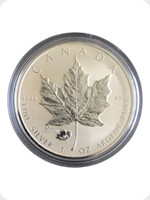 2016
Silver
Canadian Maple - Poppy Privy
