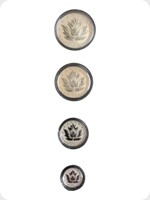 2017
Silver
Canadian Maple Leaf Fractional Set
