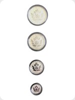 2017
Silver
Canadian Maple Leaf Fractional Set
