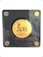 2019
Gold
African Springbok
