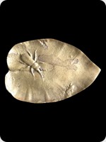 1970
Bronze
Leaf Shaped Beetle Plaque
