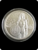 2019
Silver
Silver Shield Fortitude
