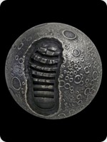 2019
Silver
50th Anniversary Of The Moon Landing
