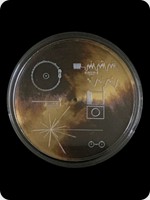 2020
Silver
Voyager Golden Record
