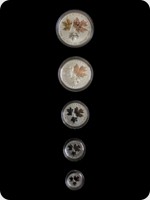 2016
Silver
Canadian Maple Leaf Fractional Set
