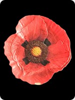 2017
Silver
Remembrance Poppy - Lest We Forget
