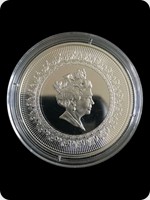 2015
Silver
Queens Portrait 5th Effigy
