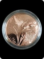 2020
Copper
Majestic Eagle
