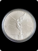 2020
Silver
Mexican Libertad Silver Bullion
